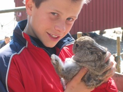 kanin_Aarholt-tunet_leirskole